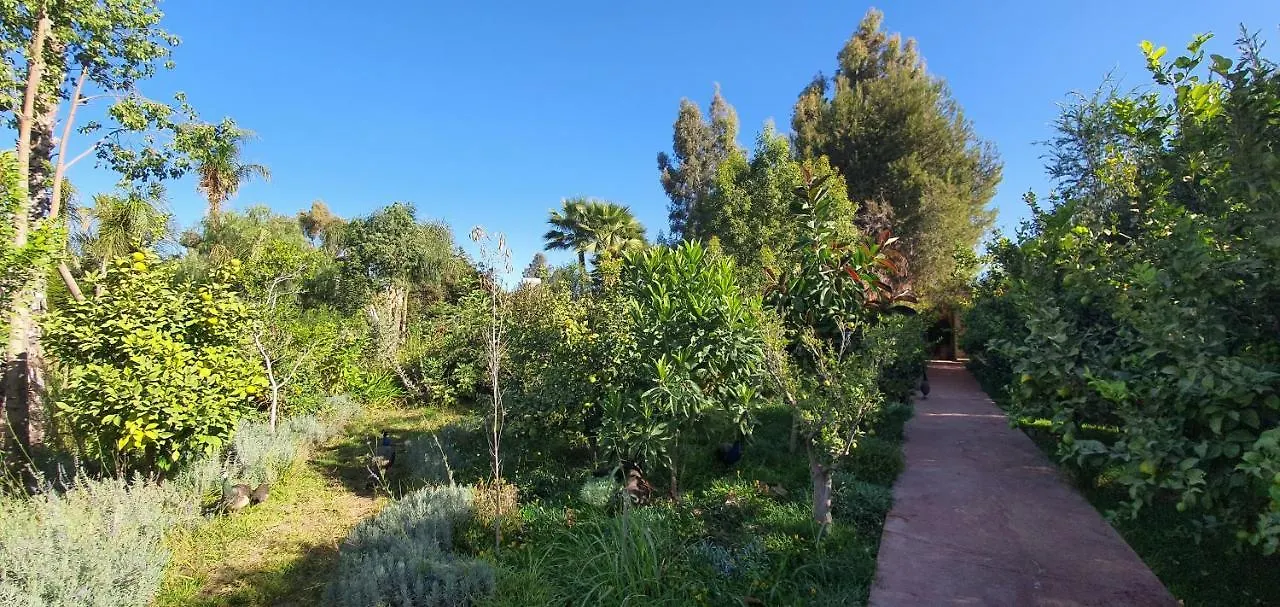 Dar Gonzo Resort&Spa Marrakesh