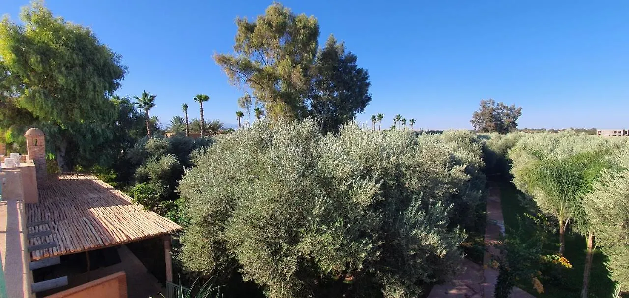Dar Gonzo Resort & Spa 马拉喀什 摩洛哥传统庭院住宅