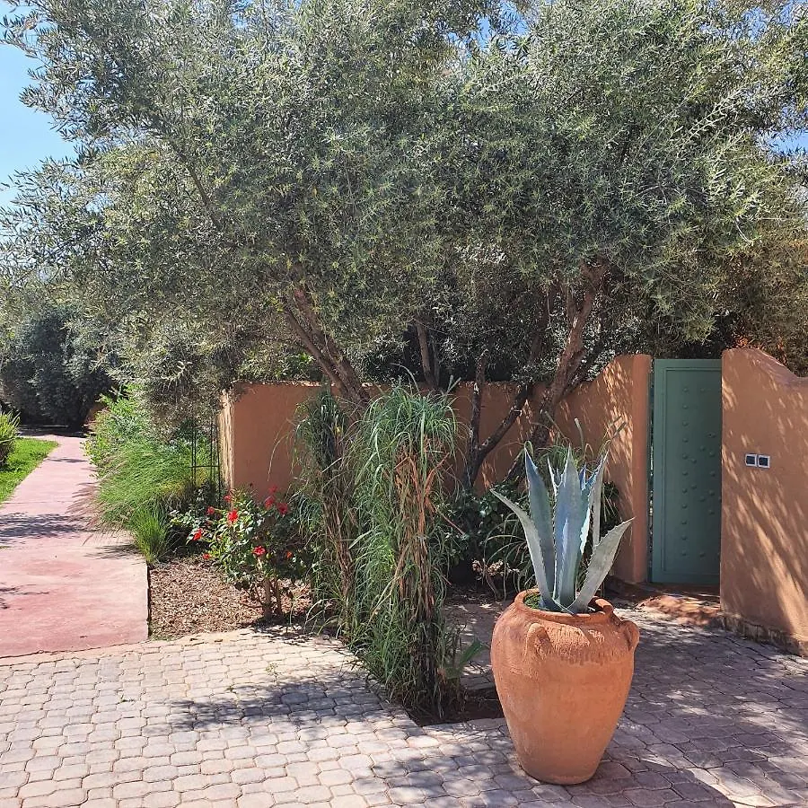 Riad Dar Gonzo Resort & Spa Marrakesh