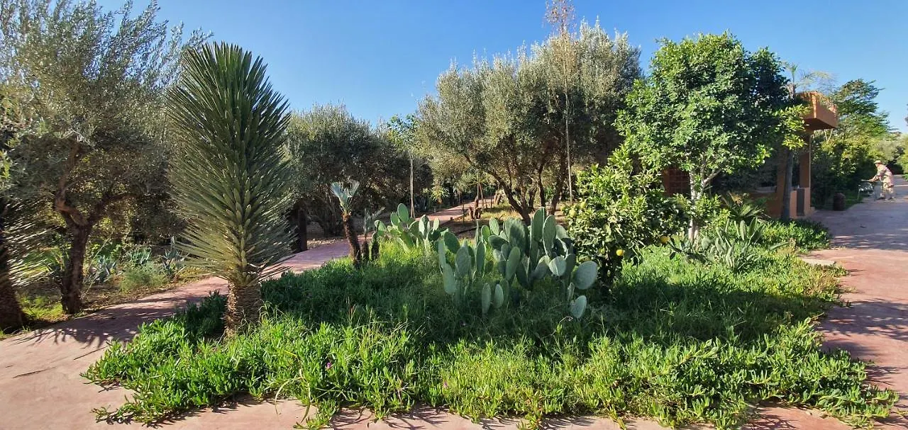 Dar Gonzo Resort & Spa Marrakesh 3*,  Morocco