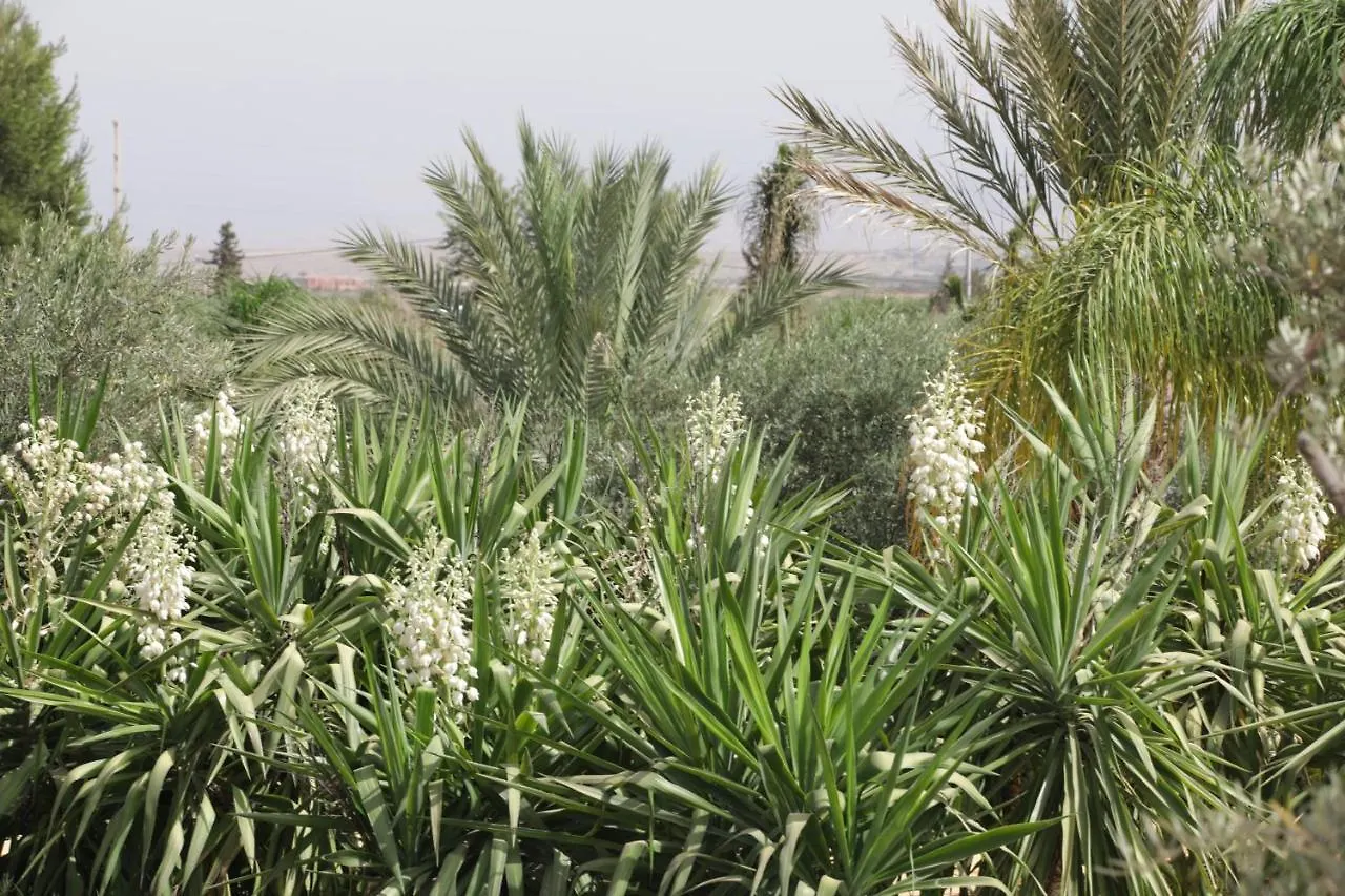 Dar Gonzo Resort & Spa Marrakesh